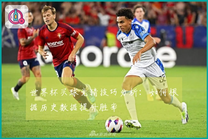 世界杯买球竞猜技巧分析：如何根据历史数据提升胜率