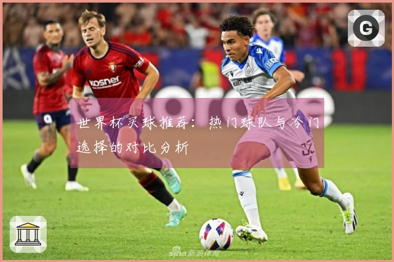 世界杯买球推荐：热门球队与冷门选择的对比分析