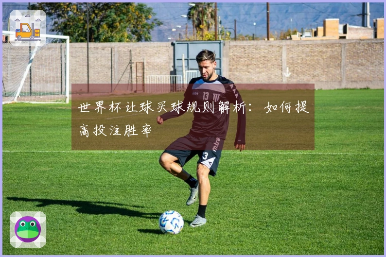 世界杯让球买球规则解析：如何提高投注胜率