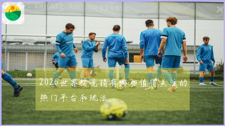 2026世界杯竞猜有哪些值得关注的热门平台和玩法