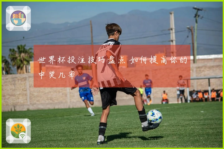 世界杯投注技巧盘点 如何提高你的中奖几率