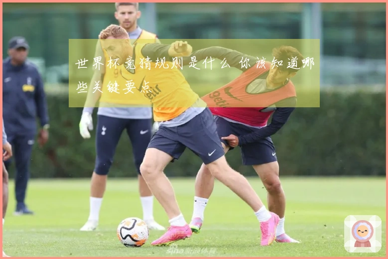 世界杯竞猜规则是什么 你该知道哪些关键要点