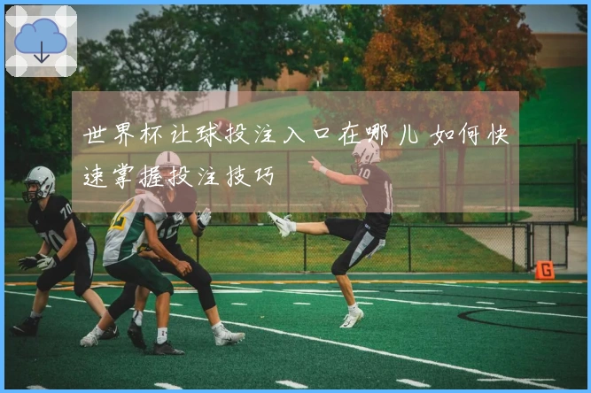 世界杯让球投注入口在哪儿 如何快速掌握投注技巧