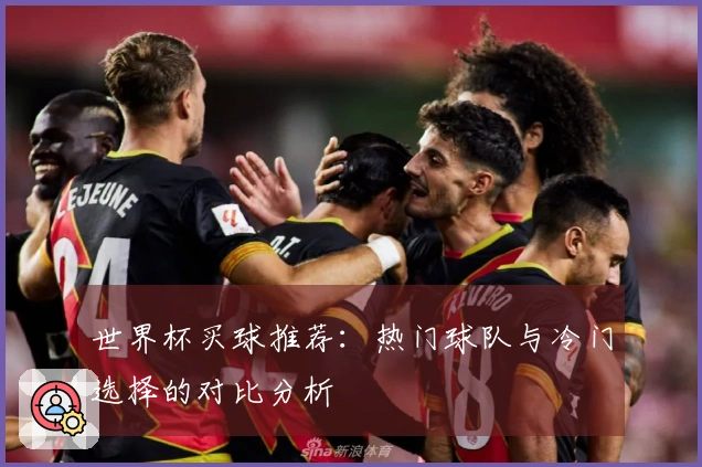 世界杯买球推荐：热门球队与冷门选择的对比分析