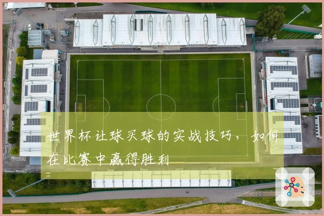 世界杯让球买球的实战技巧，如何在比赛中赢得胜利