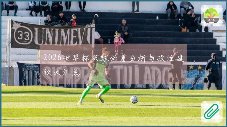 2026世界杯买球必看分析与投注建议大汇总