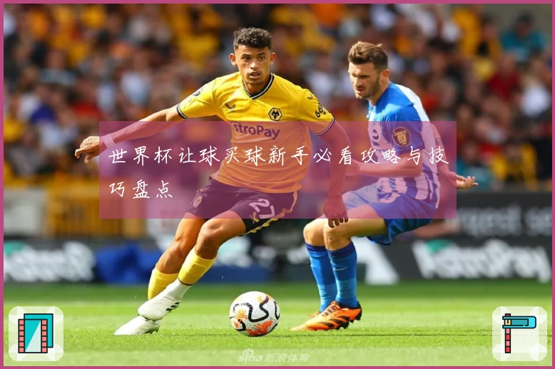 世界杯让球买球新手必看攻略与技巧盘点