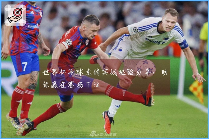 世界杯滚球竞猜实战经验分享，助你赢在赛场下注