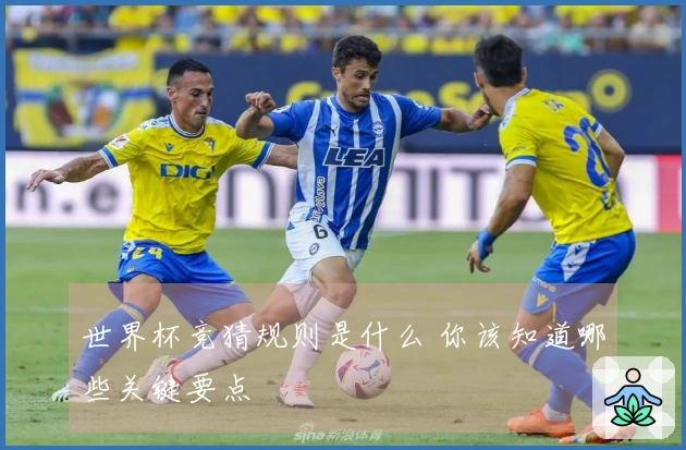 世界杯竞猜规则是什么 你该知道哪些关键要点